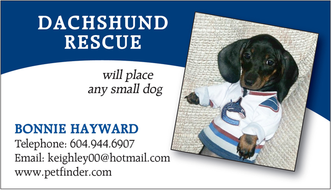 Dachshund Rescue - Business Card